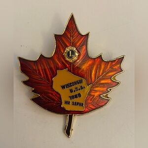 Wisconsin Lions 1989 Pin